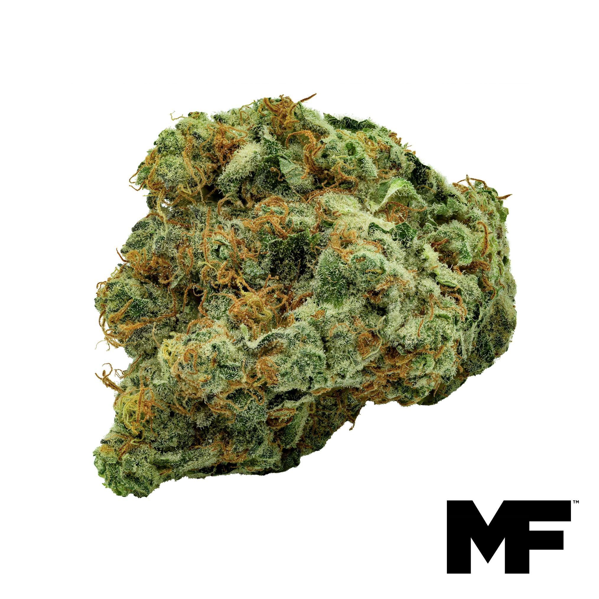 FRT GSHRS Flower