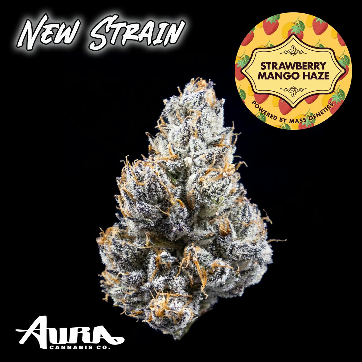 AURA CANNABIS COMPANY Strawberry Mango Haze