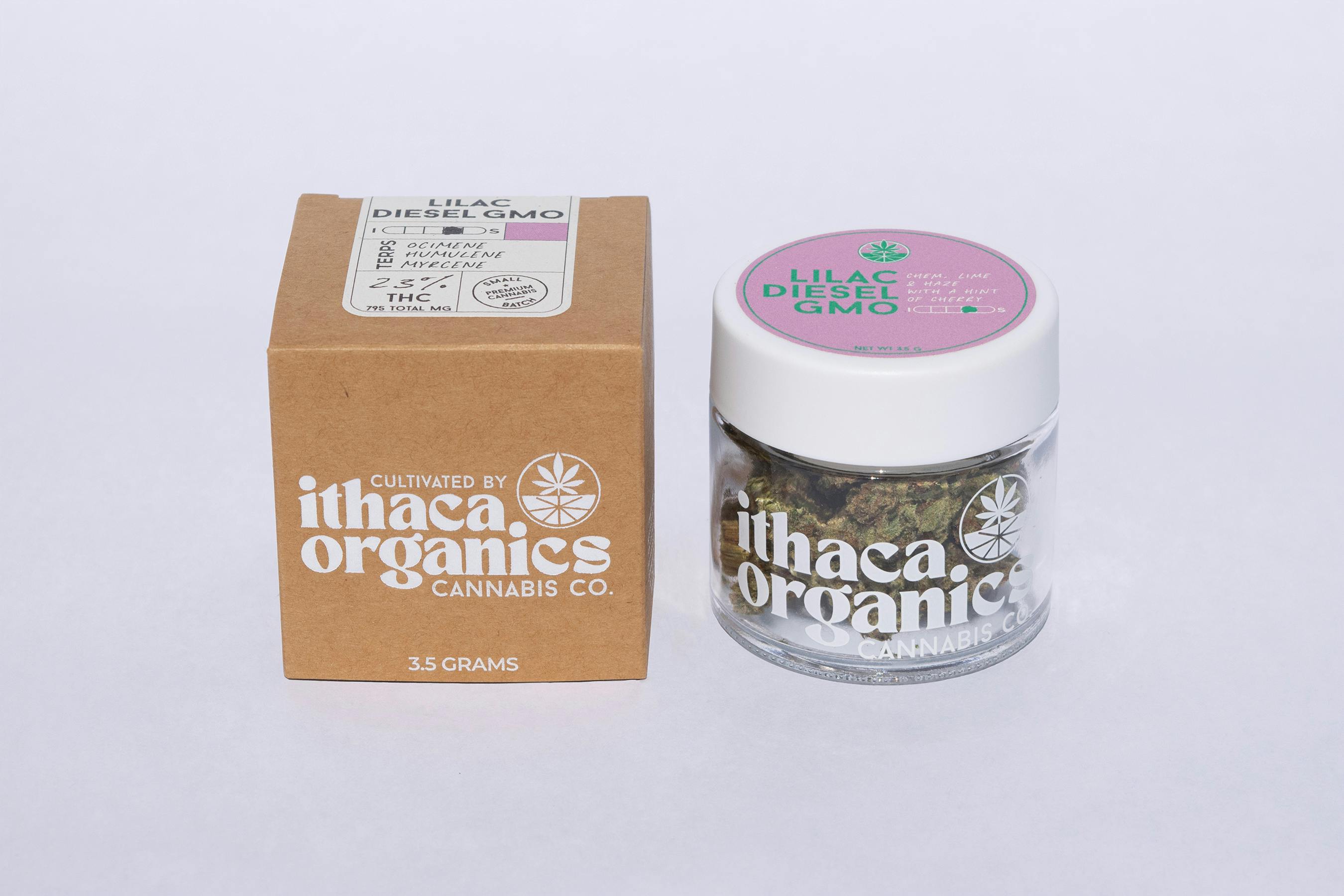 Photo of Lilac Diesel GMO