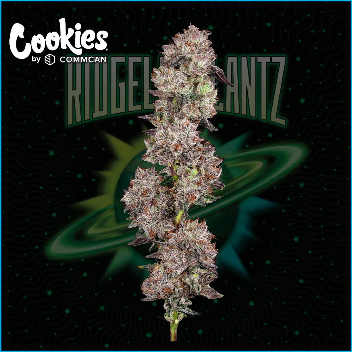 Cookies Ridgeline Lantz 1/8oz Flower | Cookies |