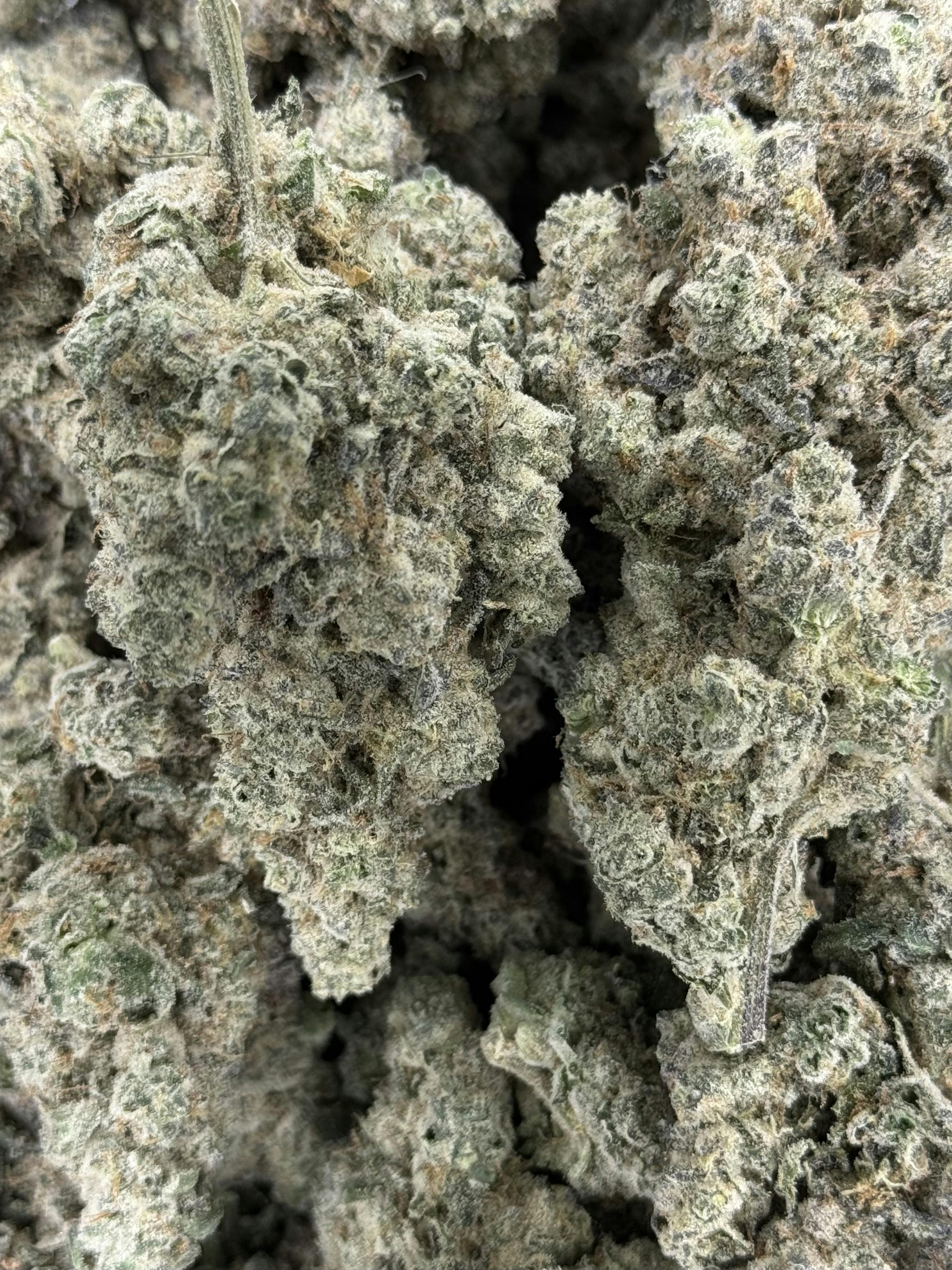 Kush Mintz | Deli Flower (Silver)