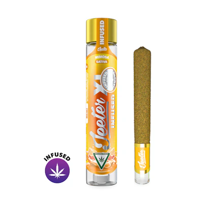 Mimosa Jeeter XL Infused Pre-Roll | 2g - PRE_ROLLS by Jeeter at King of Budz