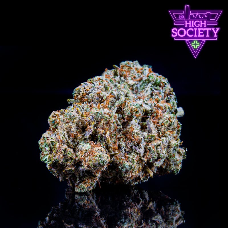 Runtz X Jetfuel (Counter Cult) - Top