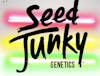 8/$60 Seed Junky Pre Rolls 