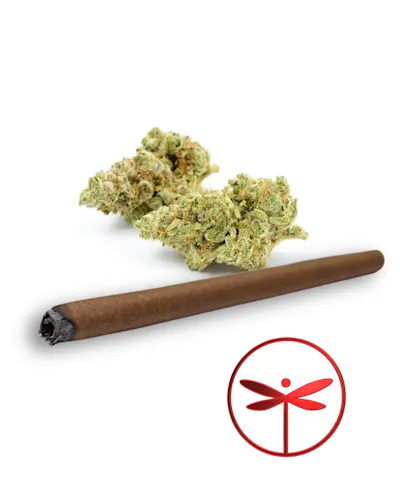 Dragonfly | Tamarindo 1g Blunt-1