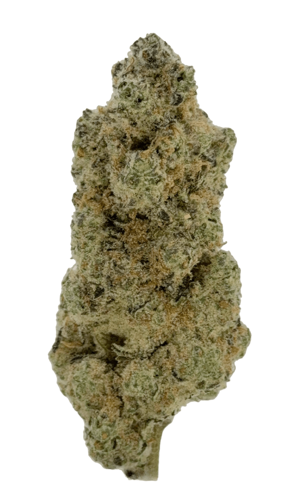 Image of Platinum Garlic | 28g Smalls