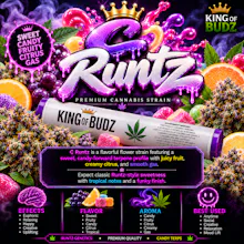 KOB - 1g Preroll - C Runtz - PRE_ROLLS by King of Budz at King of Budz