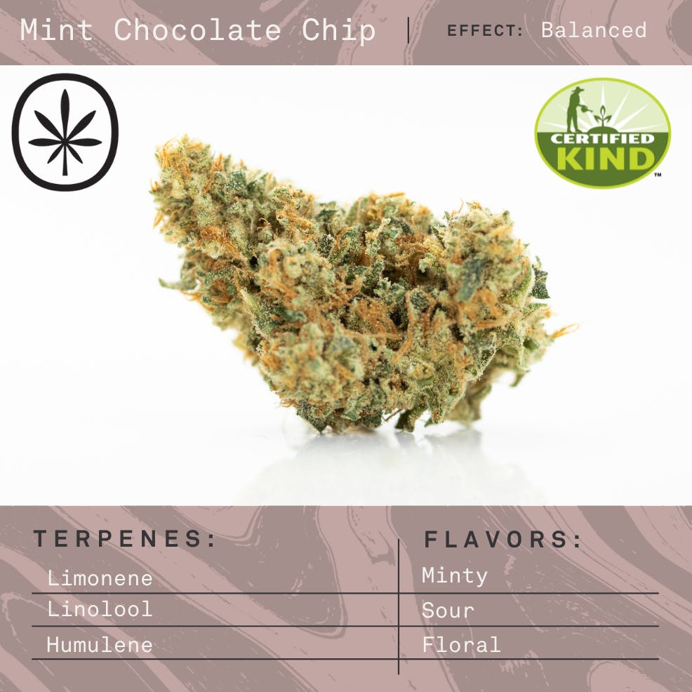 Product: Apothecare | Pre-Pack - - Mint Chocolate Chip