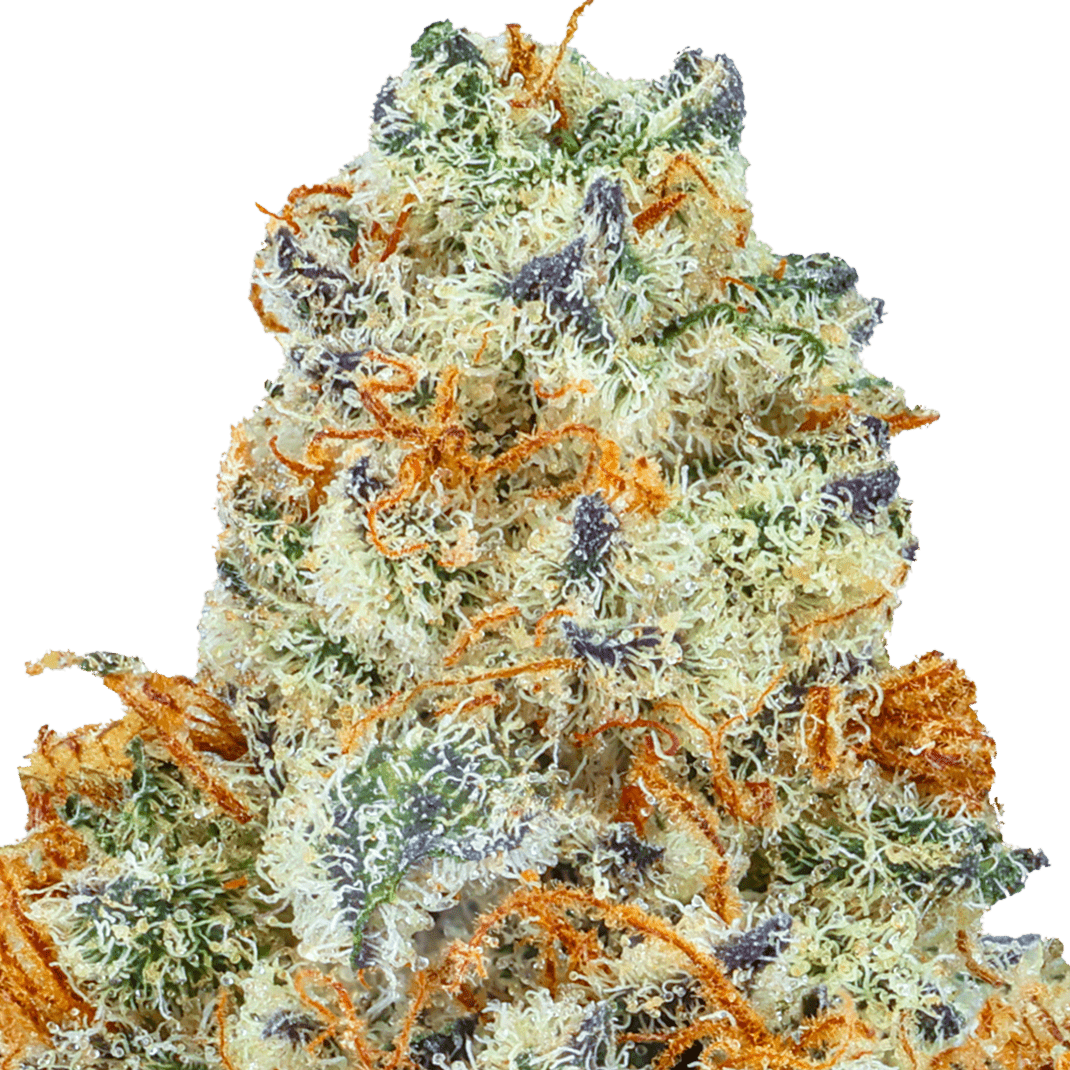 SkyRose - Tropical Blend by SkyRose