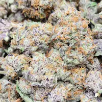 Product Lilac Diesel