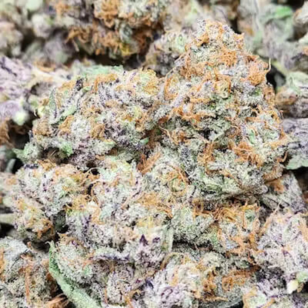 Product Lilac Diesel