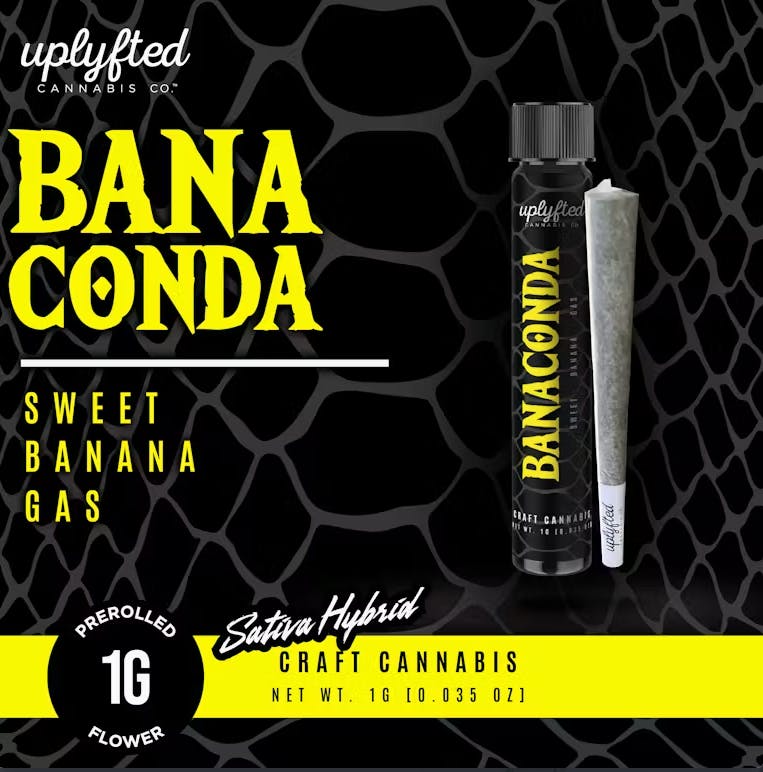 Product: UPLYFTED | BANACONDA | PRE-ROLL SATIVA