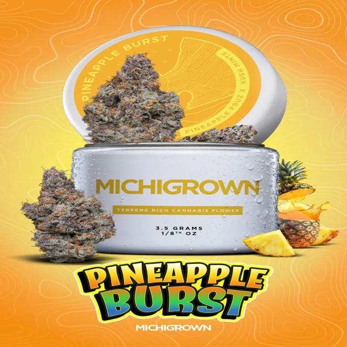 Michigrown - 3.5g Prepack Jar - Pineapple Burst
