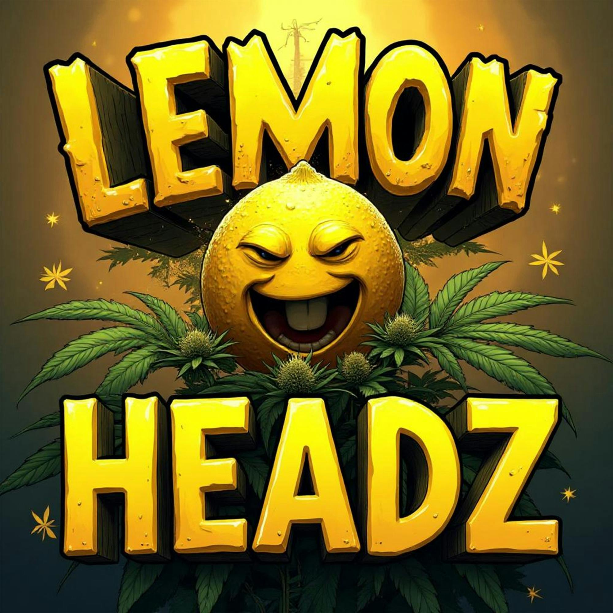 DELI - Lemon Headz