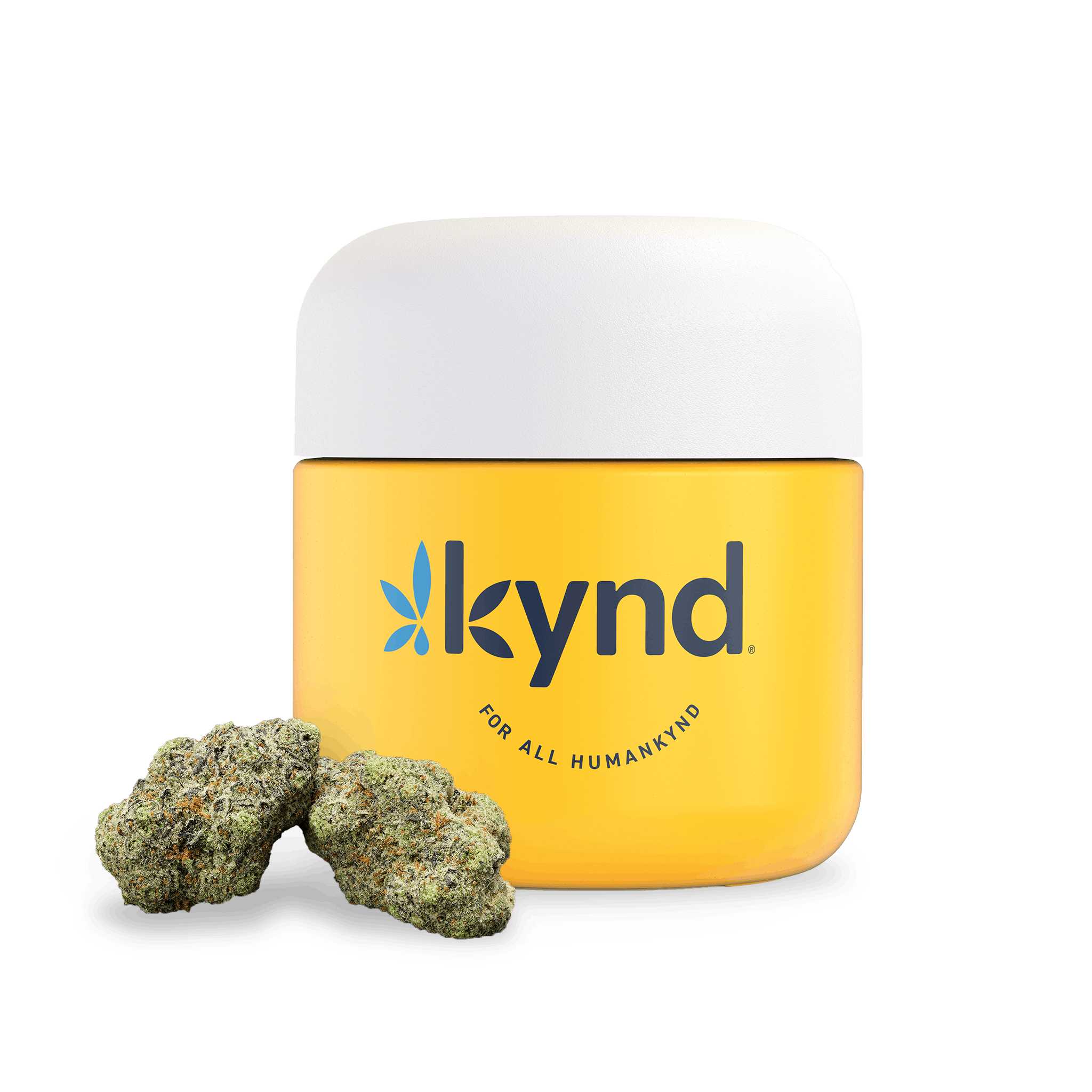 Kynd scent 2024