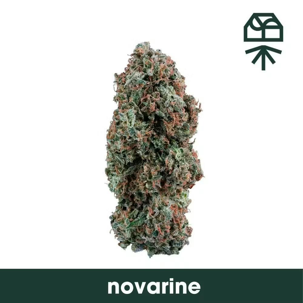 Grassroots Novarine 3.5g Flower