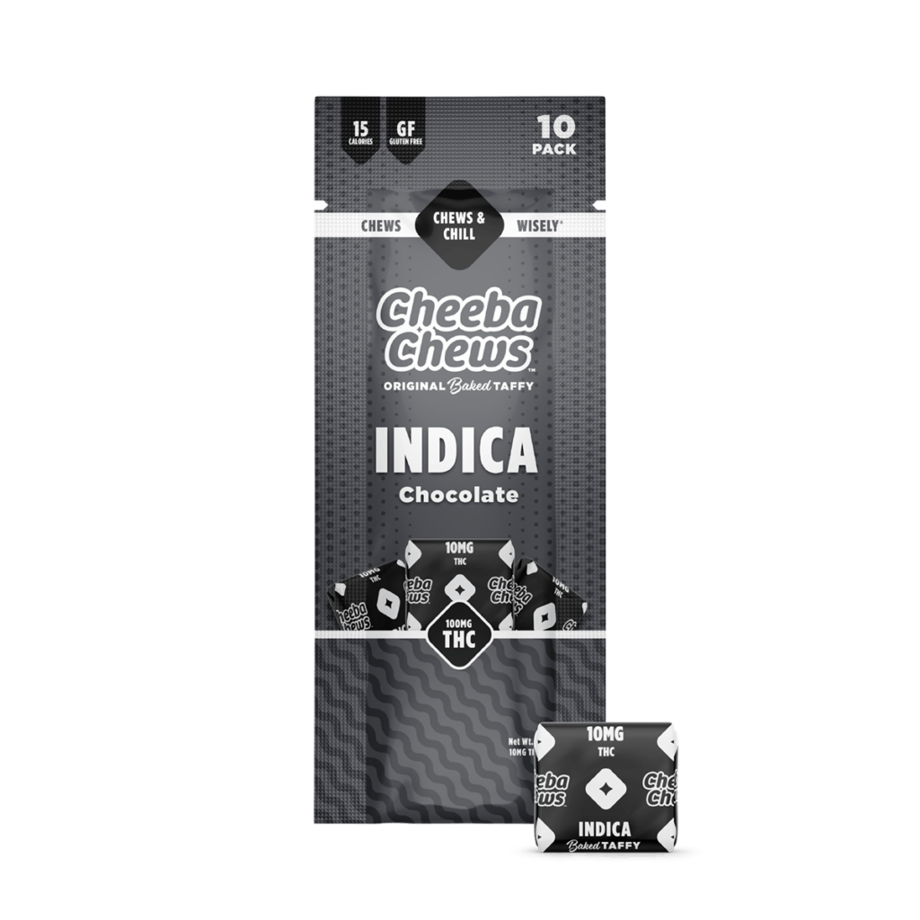 CAIメディア Charpy Chocolate CH-2GB CAIメディア Charpy Chocolate