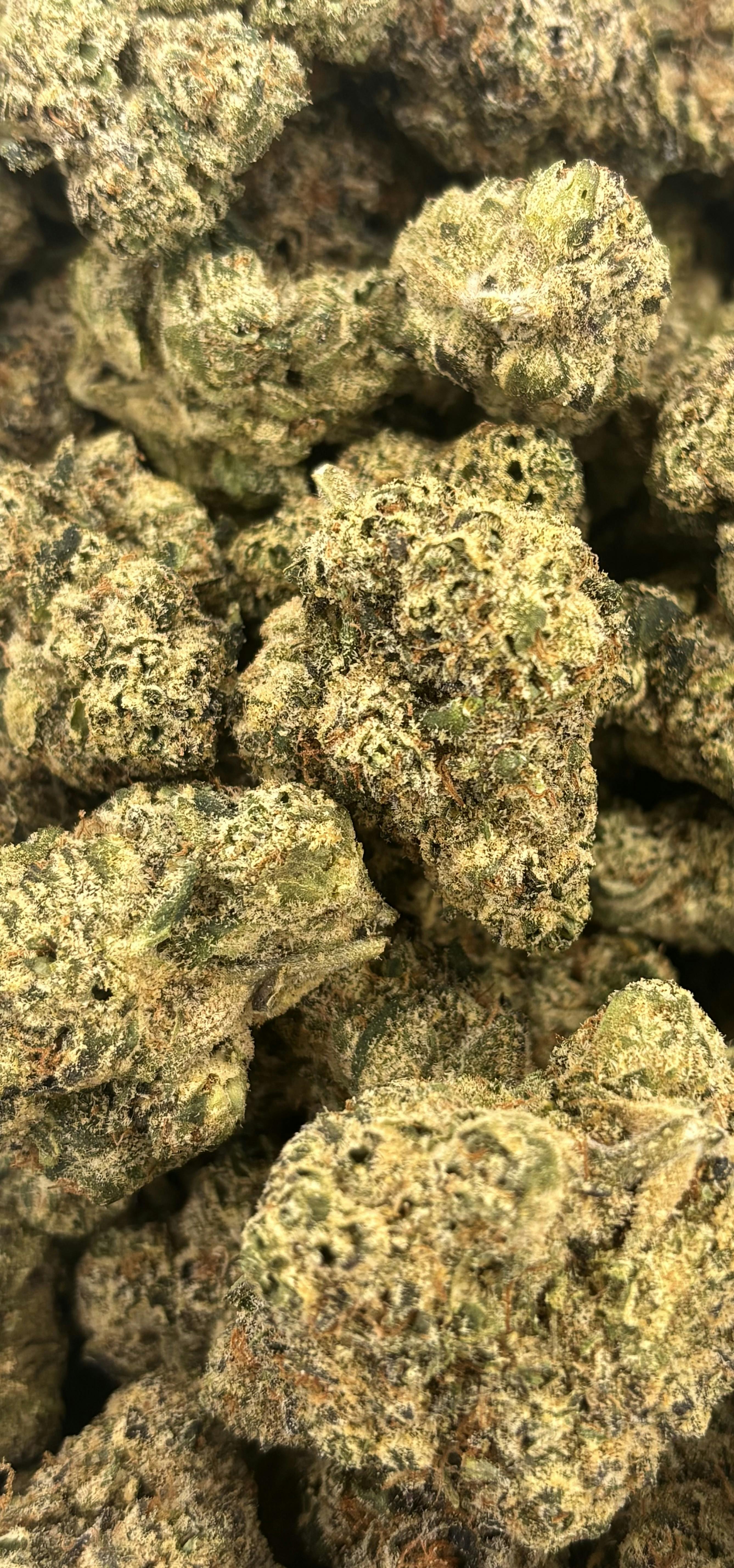 Seed Junky | Frosted Cherriez | Deli Flower