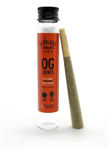 Product: Glorious Cannabis Co. | Frosted Truffle Pie Pre-Roll | 1g