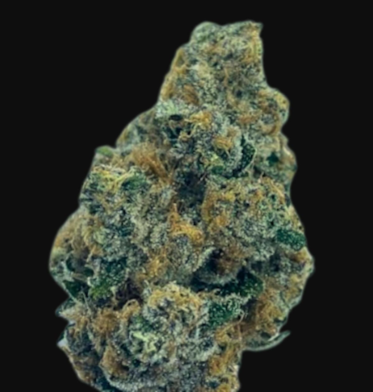 Photo of Root & Bloom Super Boof