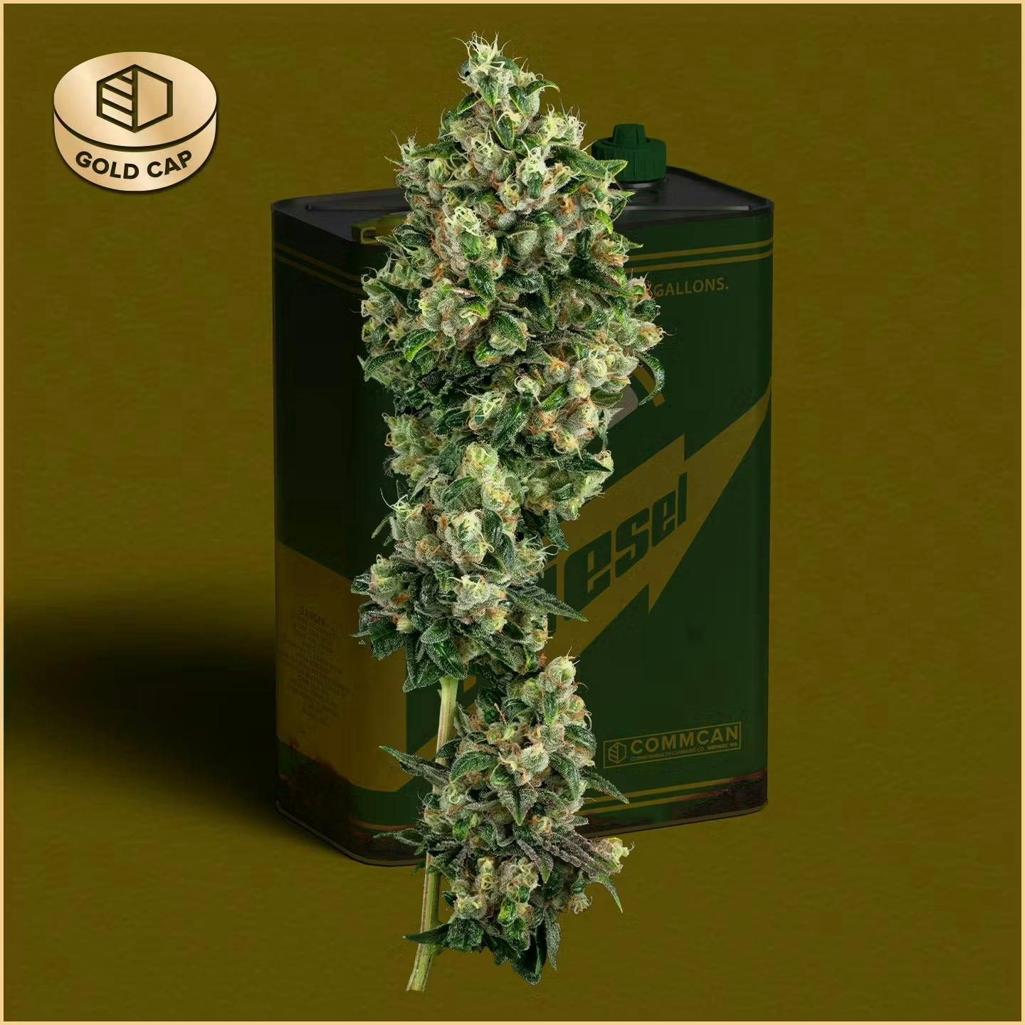 Product Sour Diesel | Flower | 3.5g