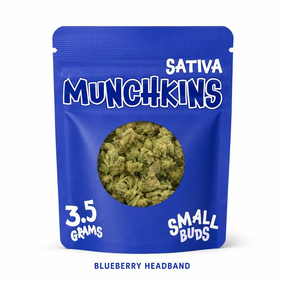 Munchkins Blueberry Headband