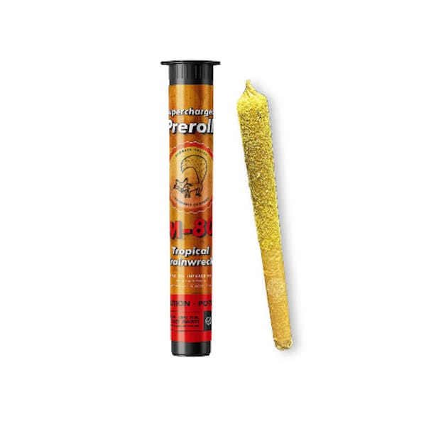 Binske Z-Thrasher Preroll 1g Pre-rolls | binske |
