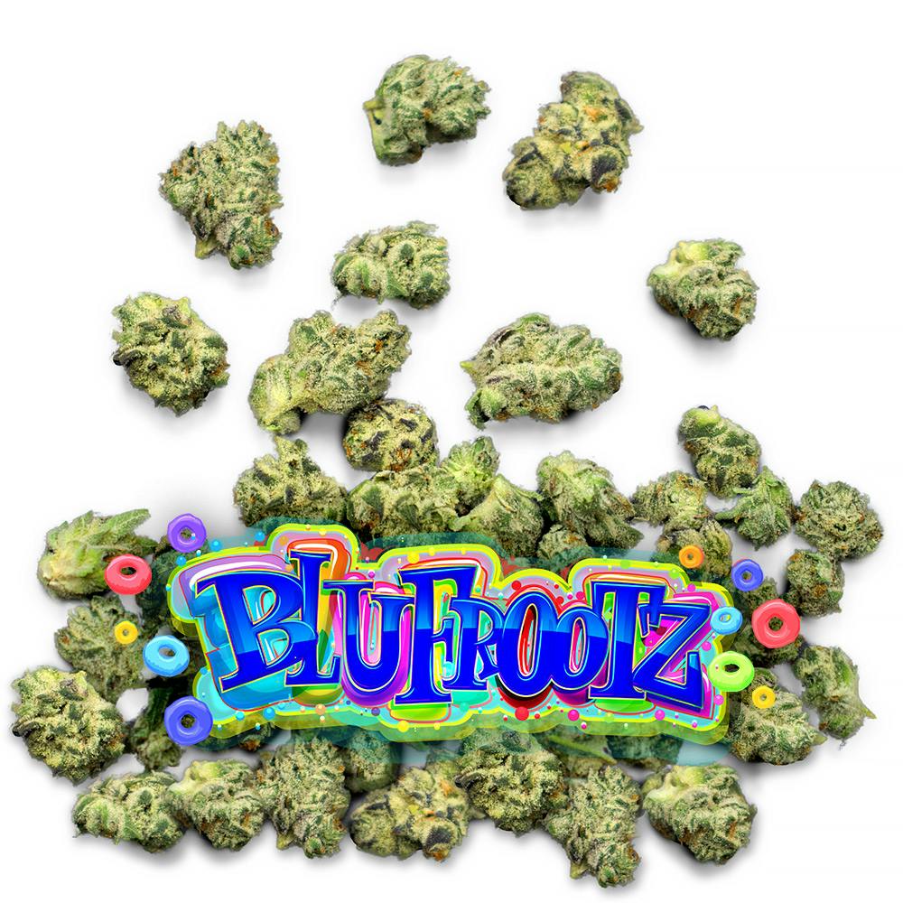 Shop Blu Frootz - Pops in Palm Harbor | Jungle Boys