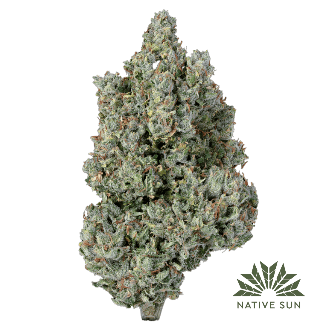 【nabe190様用】CANNABIES / Sativa Syn Buy Sativa Cannabis for Sale - Native Sun Cannabis Dispensary in