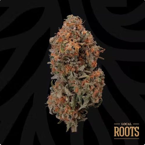 Blueberry Hashplant (IH) - 3.5g Flower - Local Roots