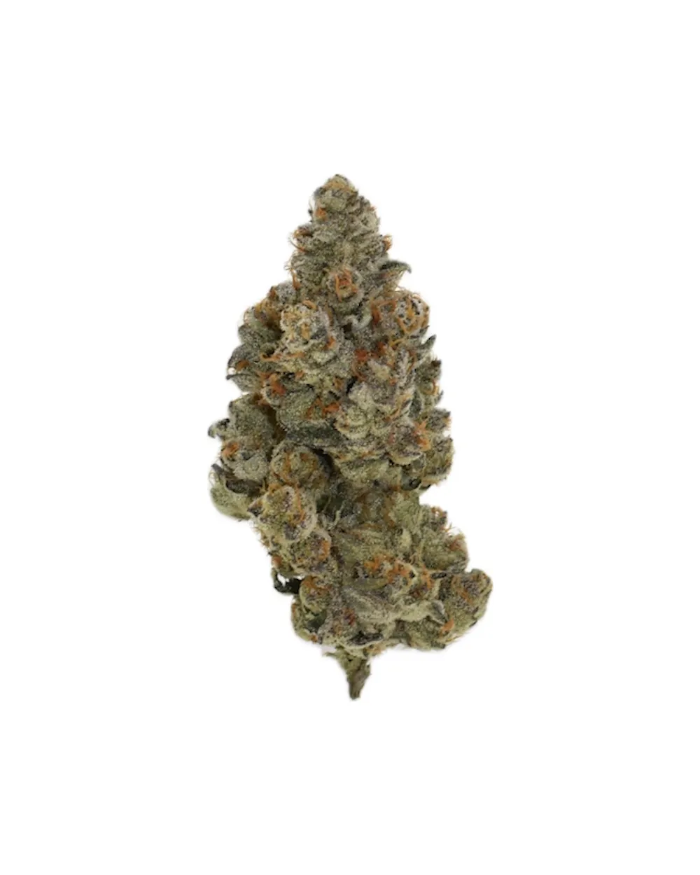 Product Health Circle - Grape Canyon Zkittles Bulk Flower