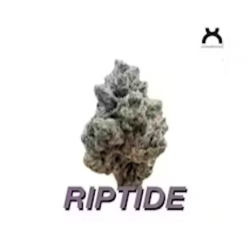 Riptide | Flower | 3.5g-1