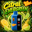 Citral Evergreen Disposable