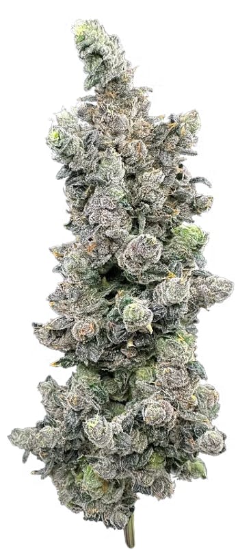 Product: Vanilla Zoap [3.5g]