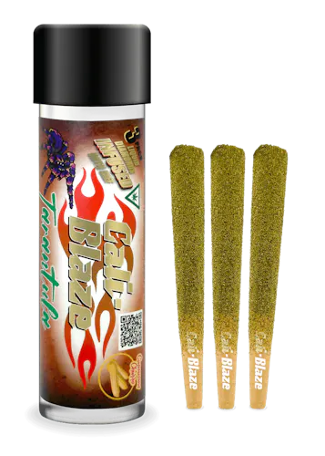 Cinnamon Churro (H)- (1g x 3) Infused Trarantulas-1