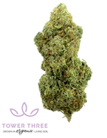 elf bar vape uk CMS Gardens - Mother Earth Wellness - Pawtucket, Pawtucket RI main image 0