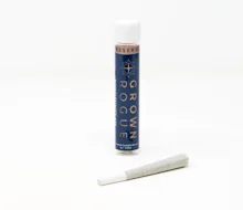 Grown Rogue - 1g Preroll - Jack Herer