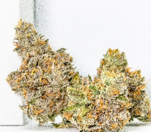 Lucky Orchard 3.5g – Evermore (Pre-Pack)-active