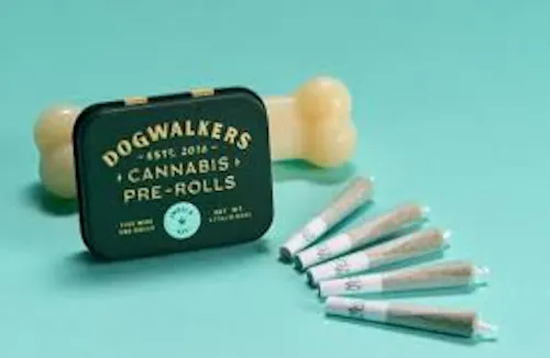 Tangerine Haze Mini Dogs 5-pack | 1.75g-1