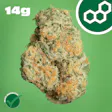 Black Cherry GMO