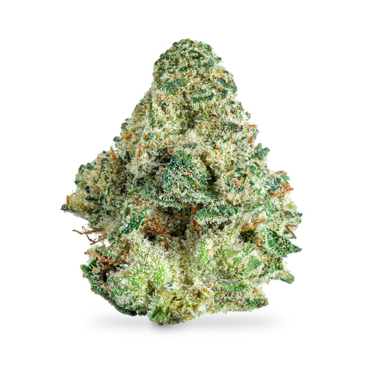 Photo of Cap Junky