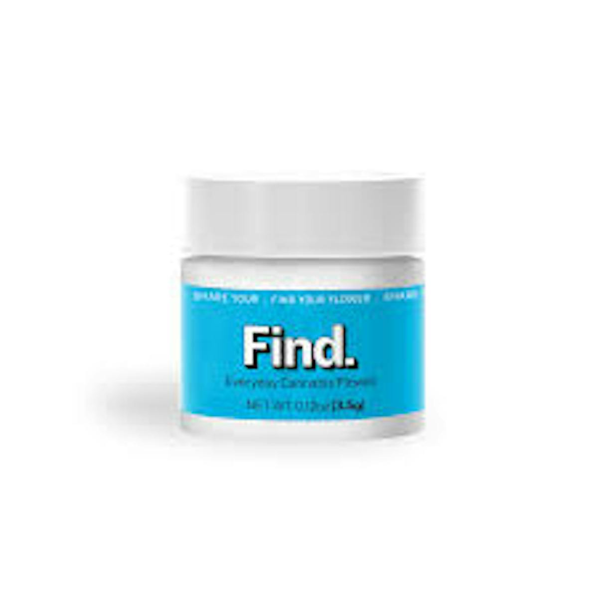 Photo of Find | Texas Shoreline #1