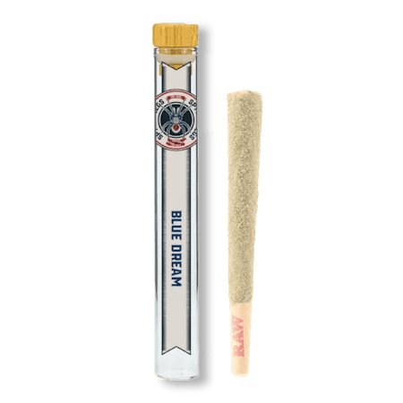 Product: SPYDER LEGS | BLUE DREAM | INFUSED PRE-ROLL SATIVA
