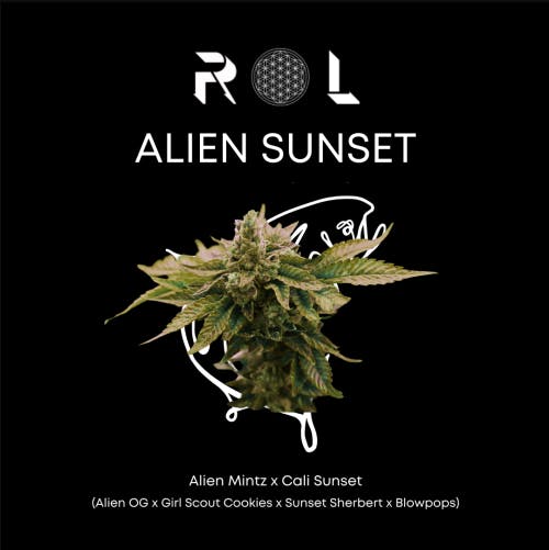 Product: Base Camp | Alien Sunset | Flower - 14g
