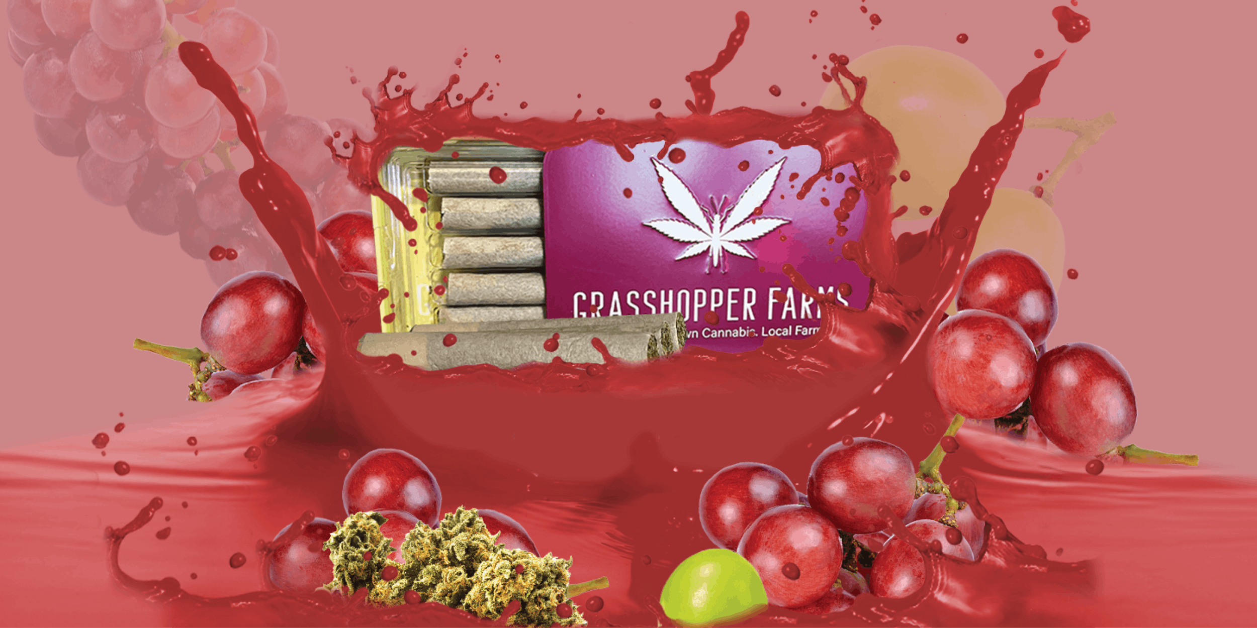 Grasshopper - 1g Infused Preroll - Grasshopper Grape