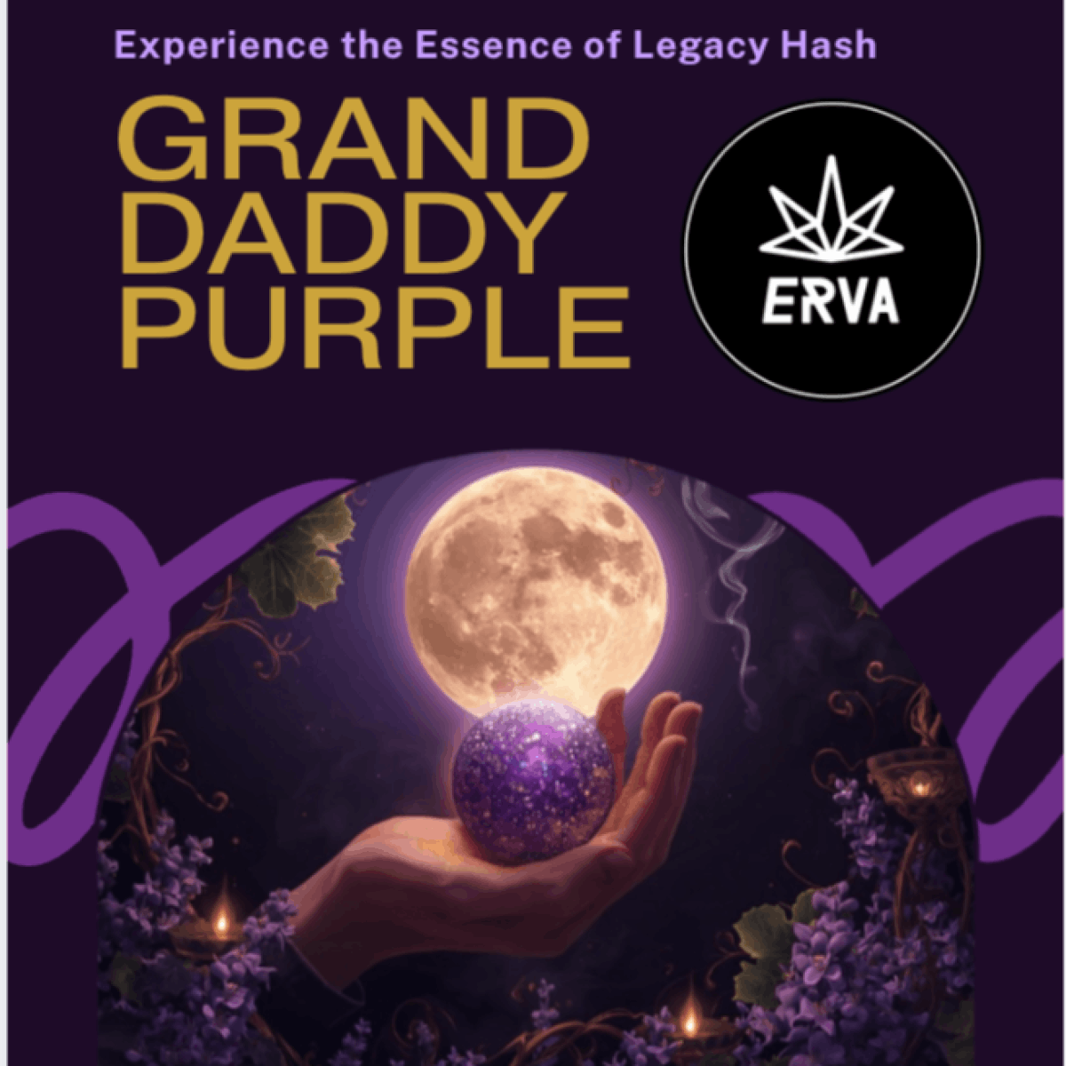 Product: Legacy Hash | Grand Daddy Purple | Traditional Hashish