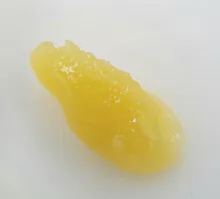 Wojo - 1g Live Rosin - Caribbean Breeze