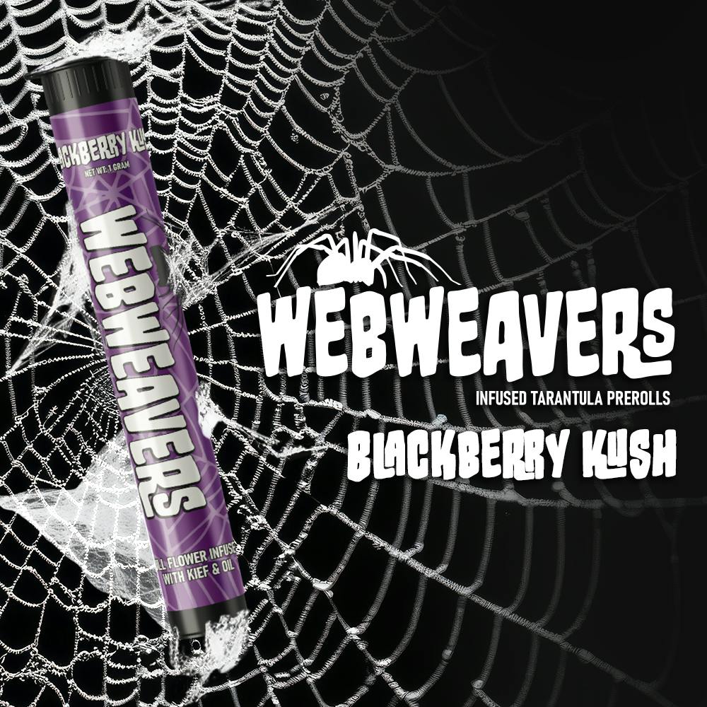 OVERDOSE FAT S PRO パープル OVERDOSE FAT S PRO パープル