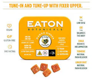 EATON | MANGO GINGER FIXER UPPER GUMMIES