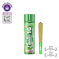 Guava Burst Jeeter Infused Pre-Roll | 1g - product image at King of Budz